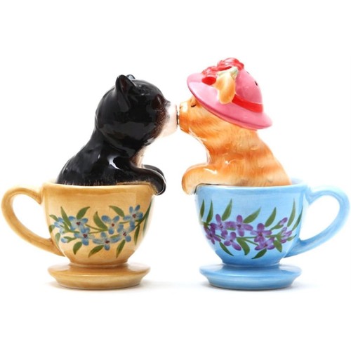 Teacup kittens salt and pepper - and,